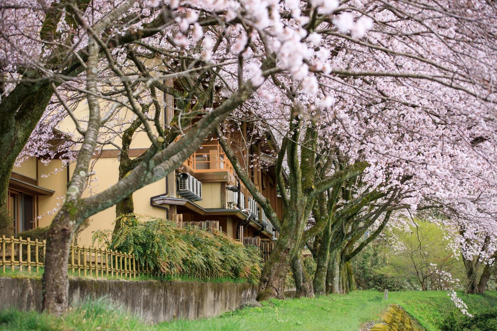 Hotel Takitei à Kanazawa Extérieur photo